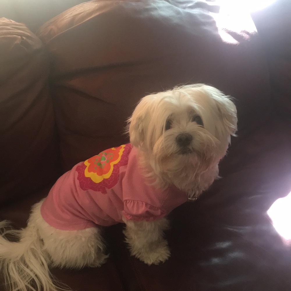 Meet your Posher, Brinda